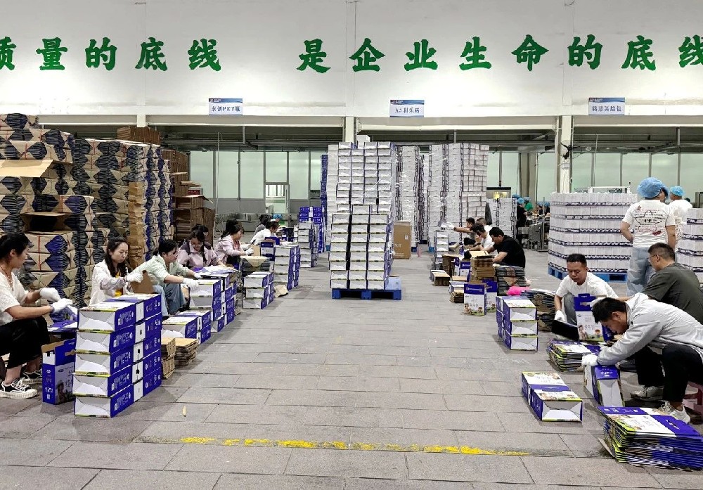 微信图片_2025-08-29_083644_151.jpg