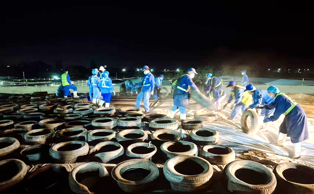 做好“粮文章”,绘就好“丰”景