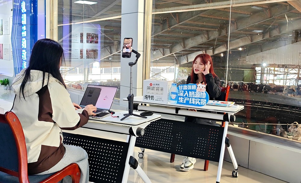 塞上一头牛到甘肃前进集团溯源直播