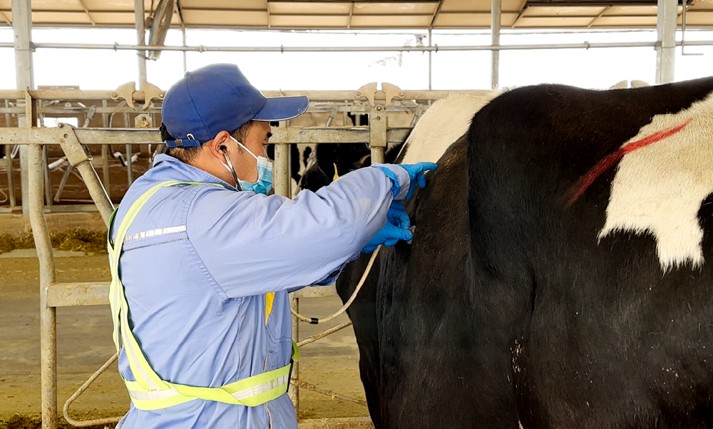 以技为犁,守护安康
