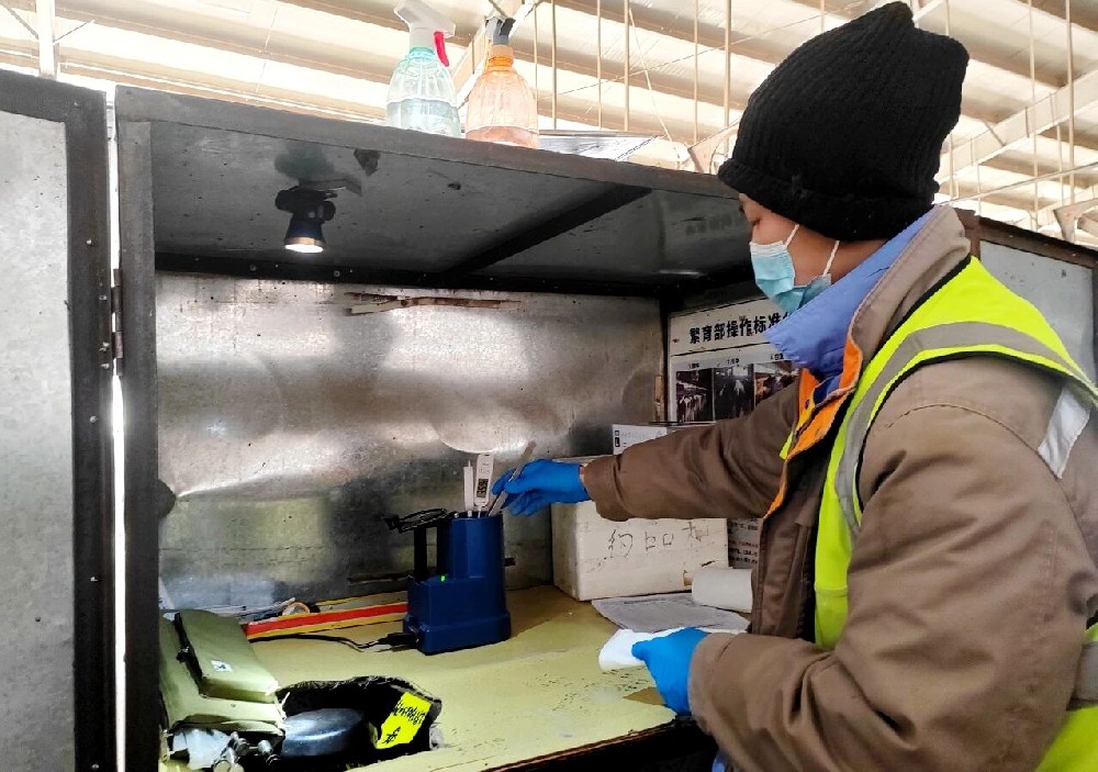 寒日里的育种坚守