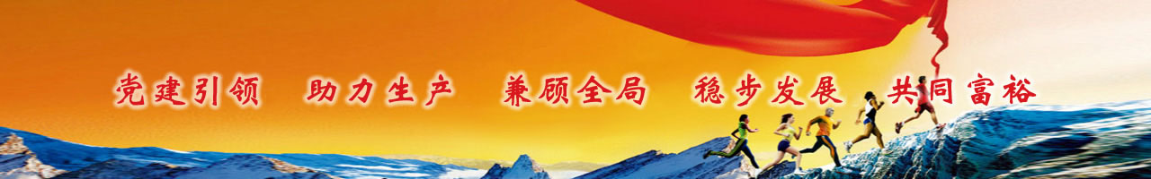 党建铸魂