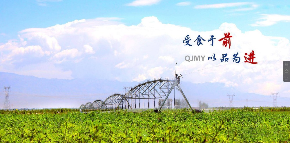 作家进前进诗歌选登（四）