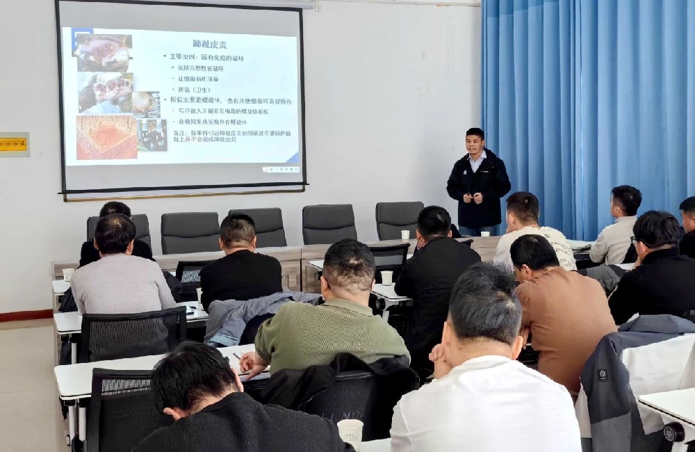 甘肃前进牧业开展奶牛肢蹄健康与蹄病防治专题培训